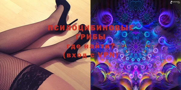 spice Алзамай